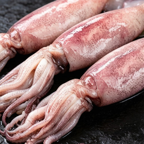 Fresh squid on crushed ice