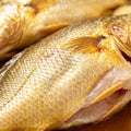 Whole yellow croaker, frozen